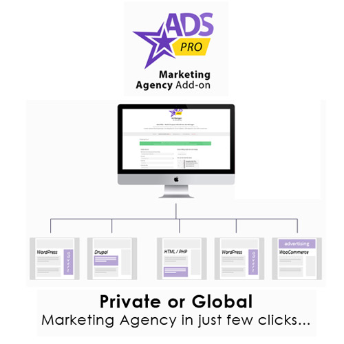 Ads-Pro-Add-on-WordPress-Marketing-Agency Ads Pro Add-on | WordPress Marketing Agency - Image 1