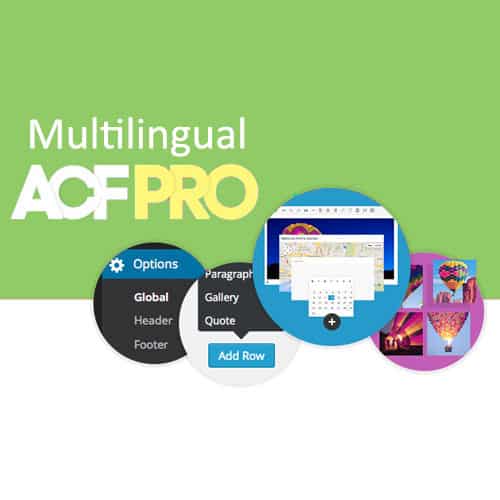 Advanced-Custom-Fields-Multilingual Advanced Custom Fields Multilingual - Image 1