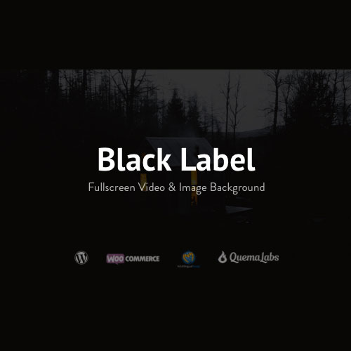 Black-Label-Fullscreen-Video-Image-Background Black Label – Fullscreen Video & Image Background - Image 1