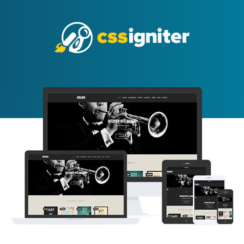 CSS-Igniter-Berliner-WordPress-Theme CSS Igniter Berliner WordPress Theme - Image 1