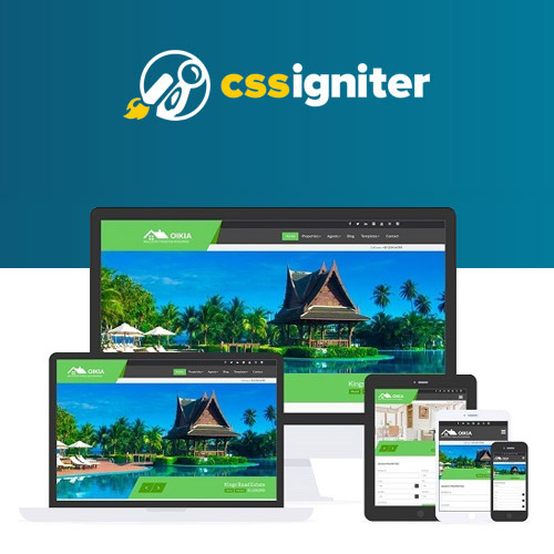 CSS-Igniter-Oikia-WordPress-Theme CSS Igniter Oikia WordPress Theme - Image 1