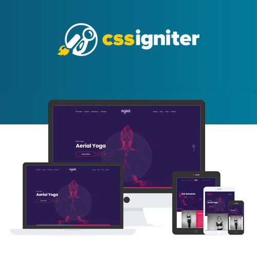 CSS-Igniter-Vigour-WordPress-Theme CSS Igniter Vigour WordPress Theme - Image 1