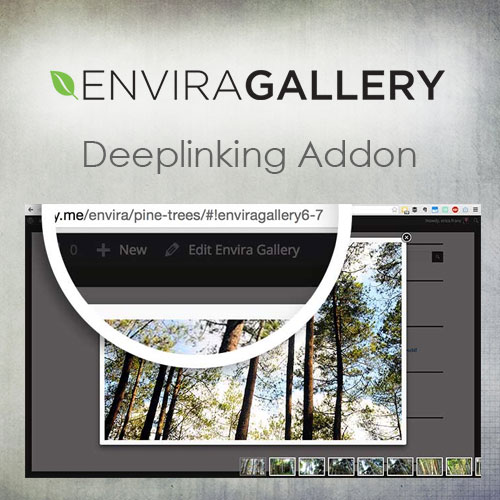 Envira-Gallery-–-Deeplinking-Addon Envira Gallery | Deeplinking Addon - Image 1
