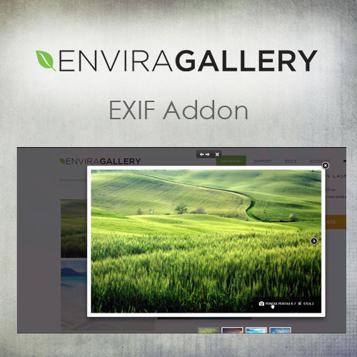 Envira-Gallery-–-EXIF-Addon Envira Gallery | EXIF Addon - Image 1