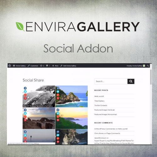 Envira-Gallery-–-Social-Addon Envira Gallery | Social Addon - Image 1