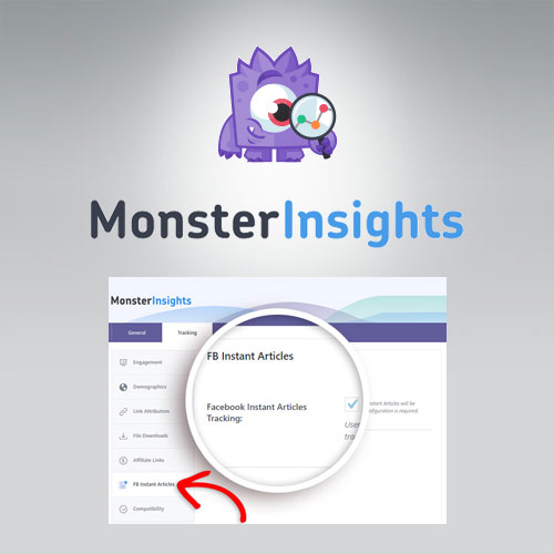 MonsterInsights-Facebook-Instant-Articles-Addon MonsterInsights – Facebook Instant Articles Addon - Image 1