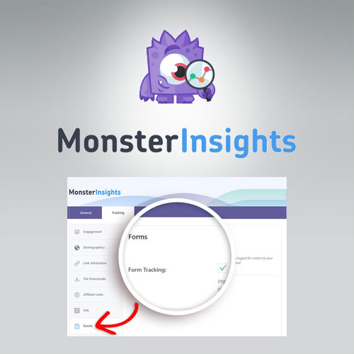MonsterInsights-Forms-Tracking-Addon MonsterInsights – Forms Tracking Addon - Image 1