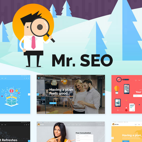 Mr-SEO-SEO-Marketing-Agency-and-Social-Media-Theme Mr. SEO | SEO, Marketing Agency and Social Media Theme - Image 1