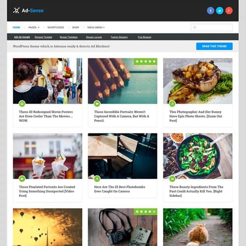 MyThemeShop-Ad-Sense-WordPress-Theme MyThemeShop Ad-Sense WordPress Theme - Image 1