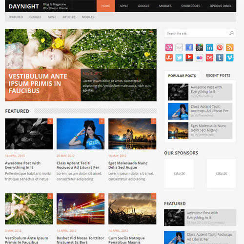 MyThemeShop-Daynight-WordPress-Theme MyThemeShop Daynight WordPress Theme - Image 1