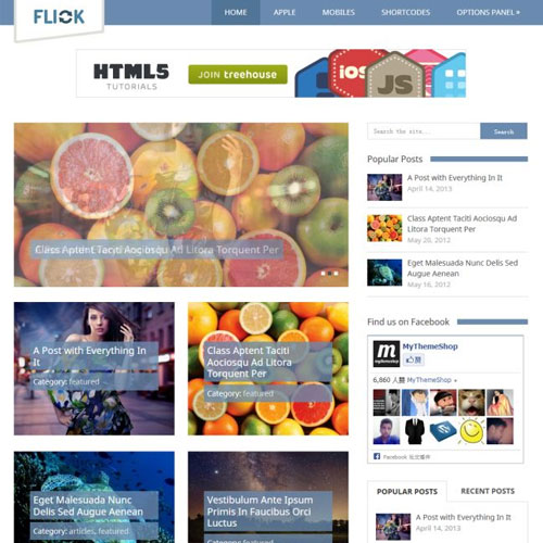 MyThemeShop-Flick-WordPress-Theme MyThemeShop Flick WordPress Theme - Image 1