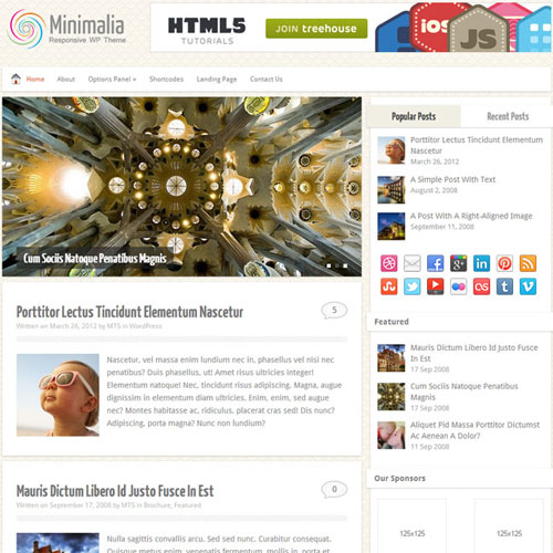 MyThemeShop-Minimalia-WordPress-Theme MyThemeShop Minimalia WordPress Theme - Image 1