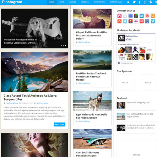MyThemeShop-Pinstagram-WordPress-Theme MyThemeShop Pinstagram WordPress Theme - Image 1