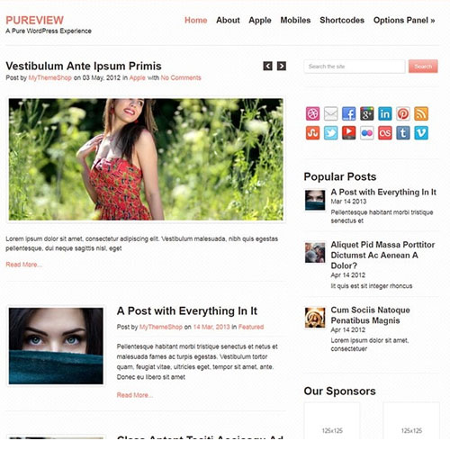 MyThemeShop-Pureview-WordPress-Theme MyThemeShop Pureview WordPress Theme - Image 1