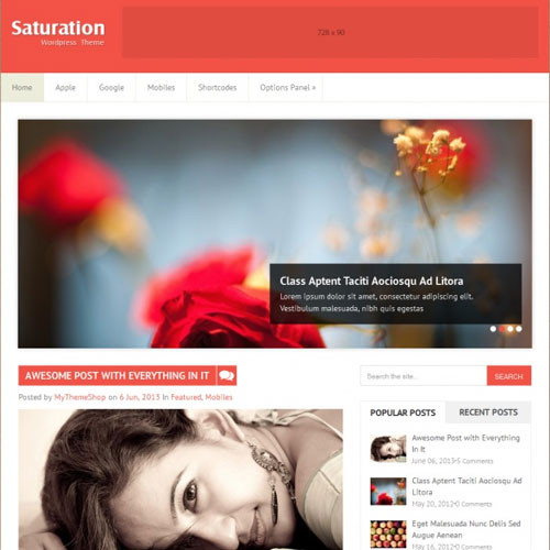 MyThemeShop-Saturation-WordPress-Theme MyThemeShop Saturation WordPress Theme - Image 1