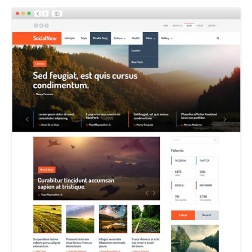 MyThemeShop-Social-Now-WordPress-Theme MyThemeShop SocialNow WordPress Theme - Image 1