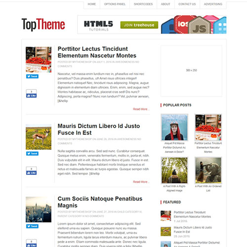 MyThemeShop-Top-WordPress-Theme MyThemeShop Top WordPress Theme - Image 1