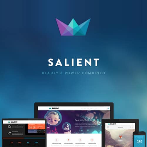 Salient-Responsive-Multi-Purpose-Theme Salient | Creative Multipurpose & WooCommerce Theme - Image 1