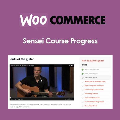 Sensei-Course-Progress Sensei Course Progress - Image 1