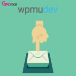 WPMU DEV Subscribe by Email