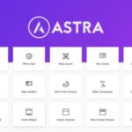 Astra Pro Addon