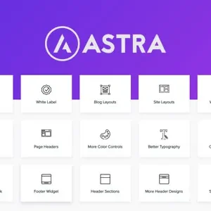 Astra Pro Addon