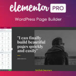 Elementor PRO GPL WordPress Page Builder + Pro Templates [Working]