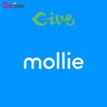 Give – Mollie Payment Gateway