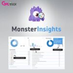 MonsterInsights Pro – Google Analytics Plugin for WP