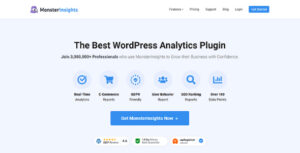 Monsterinsights Page Insights Addon