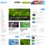 MyThemeShop Split WordPress Theme