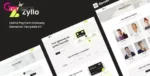 Zyllo – Online Payment Gateway Elementor Template Kit